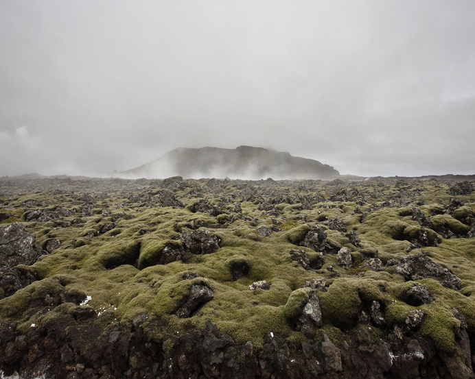 2009–2014 #peter #photography #zeglis