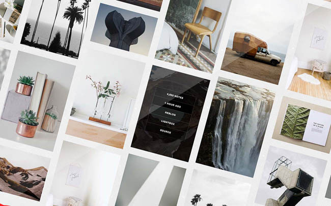 Carter : Free Customizable Tumblr Theme