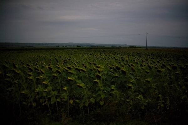 Bryan Derballa #photography