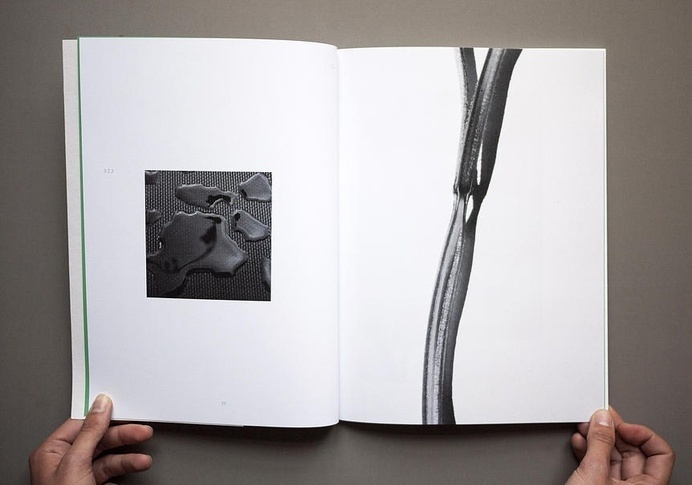 "Arkiv 2.6.2" Nettle Book by Flatness In Space #white #blackwhite #water #graphicdesign #design #graphic #book #black #nettle #and #flower #layout