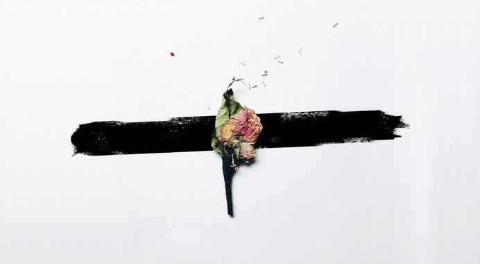 Wedding Flower, DNLKRGR, danny maker #maker #danny #photo #stroke #dnlkrgr #streak #brush #flower #wedding