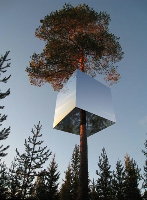 Buamai Treehouse: Invisible Tree House Is A Modern Multi level Hideaway #mirrior #house #tree #cube