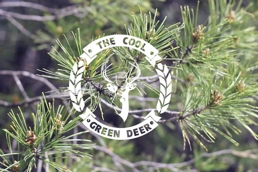 The Cool Green Deer - Videoclip - Carlosbull | Diseño Gráfico y fotografía @ Logroño, Spain :: Carlos de Toro Hernando #deer #design #graphic #bokeh #wood #video #photography #videoclip #logo #forest #cool