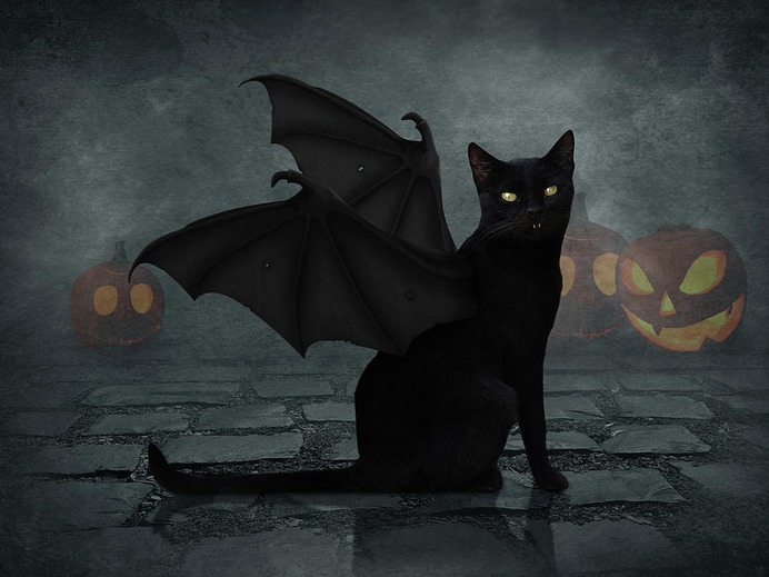 beginner easy halloween paintings & paint by numbers #painting