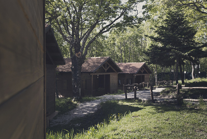 #resort #house #wood