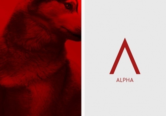 BERG | September Industry #raw #power #alpha #berg #brand #identity #studio