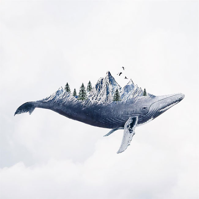 Portuguese Artist Luisa Azevedo Creates Dreamy And Surreal Photo Manipulation