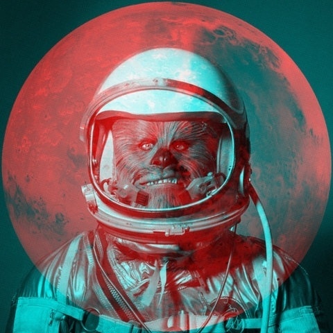 FFFFOUND! | DeadFix · #photo #chewbacca