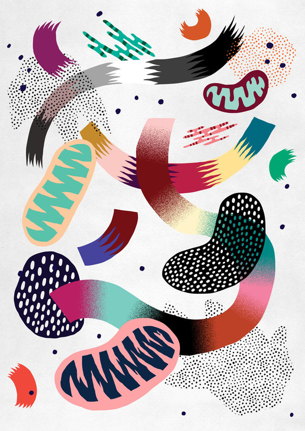 RUC - PROSPECTUS ILLUSTRATIONS #illustration