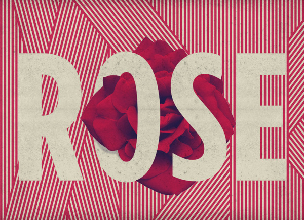 BRAINFISHWARLIMEROSE on the Behance Network #rose #graphic