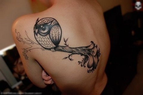 FFFFOUND! | Skin / Owl #tattoo #owl