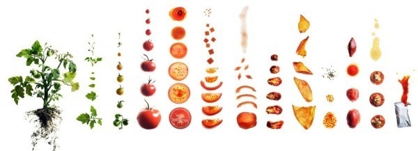 food photography maren caruso 3 #ingredients #photography #conceptual #food