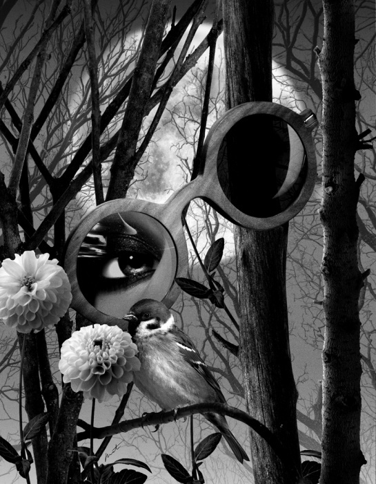 Rites / Nocturne | Mat Maitland Images #maitland #mat