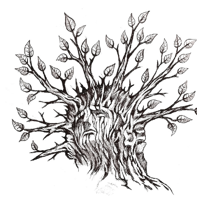 black and white, illustration, tree illustration, tree, and sketch ...