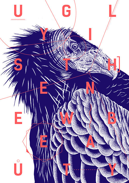 About: #bird #poster #ugly #typo #beauty