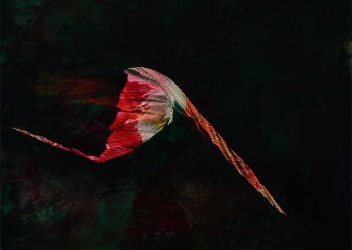 Abstract Oil Paintings by Rachel Ostrow