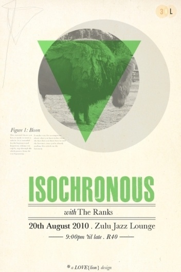 Flyer Designs // 2010 on the Behance Network #iso