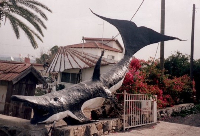 The Whale