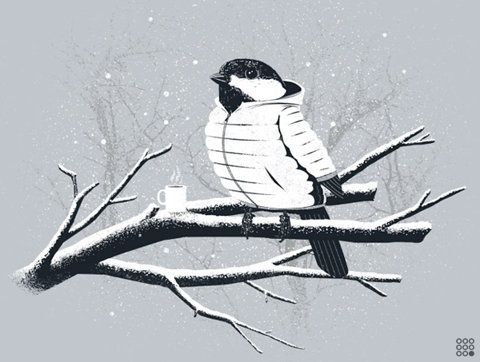 FFFFOUND! #sparrow