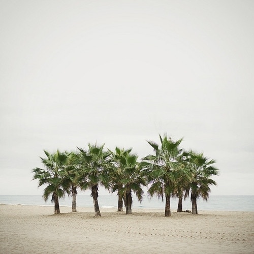 Merde! - Photography (06 by Salva López on Flickr.... #photography
