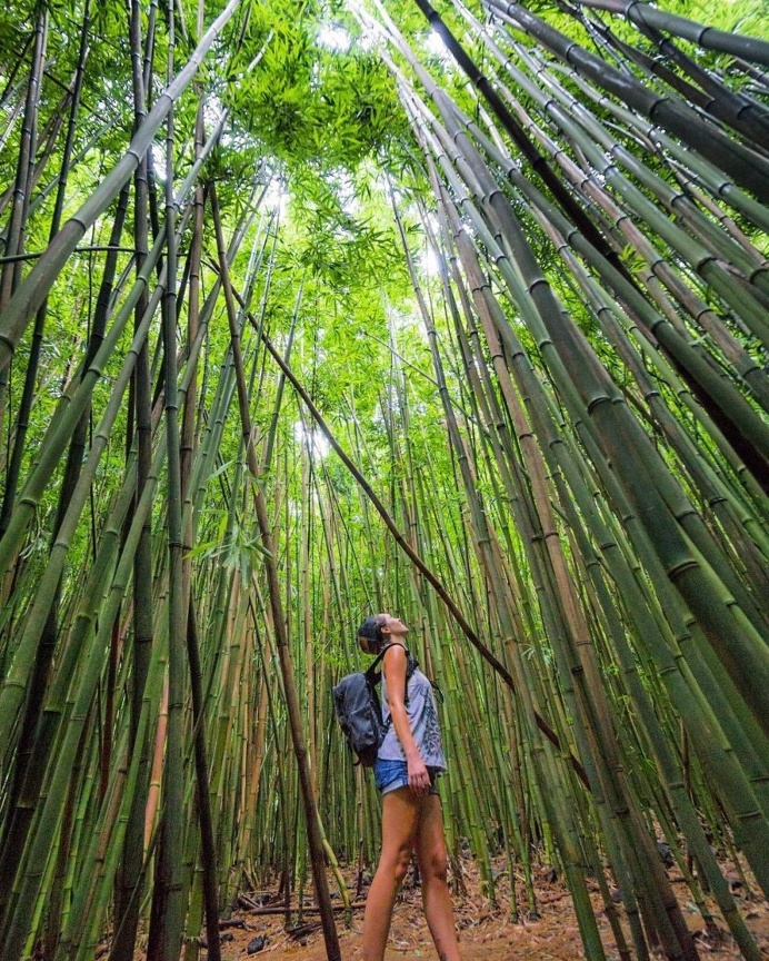 Stunning Solo Travel Photography by Kristin Addis
