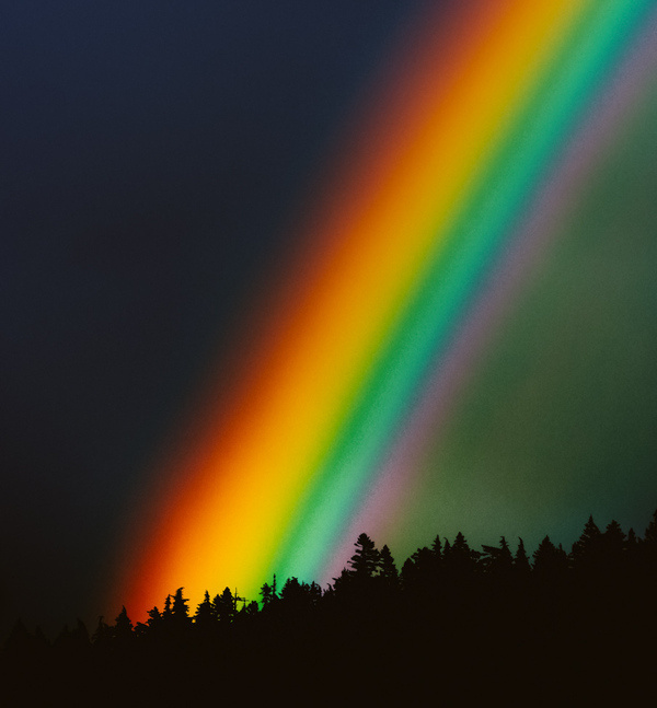 Circa 1983 The Photo Roll of Owen Perry #rainbow #photography