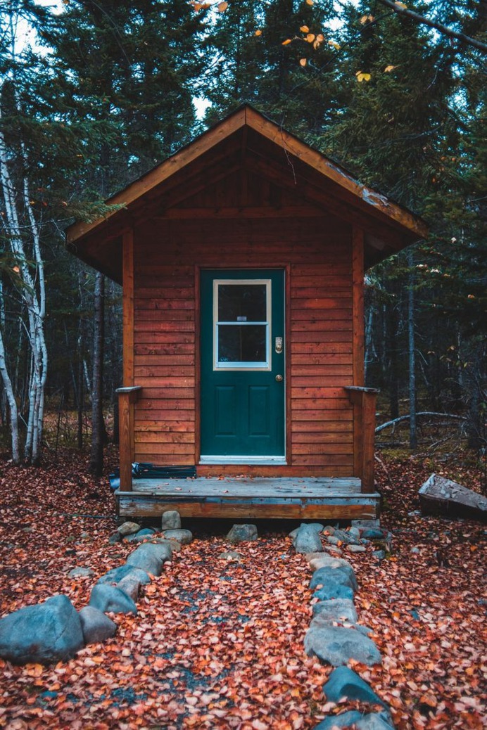 Wooden Cabin in Forest