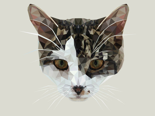 STELLA #kitten #vector #hopelittle #cat #illustration #triangle