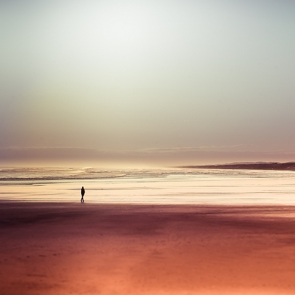 Colossal | An art and design blog. | Page 5 #photo
