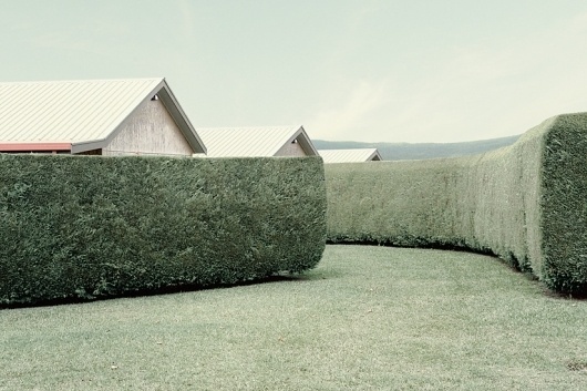 Advertising Photography and Commercial Photography : CHRIS SISARICH PHOTOGRAPHER #houses #bleached #shrubs #landscape