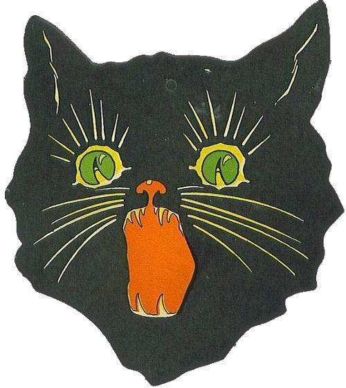 cat #illustration