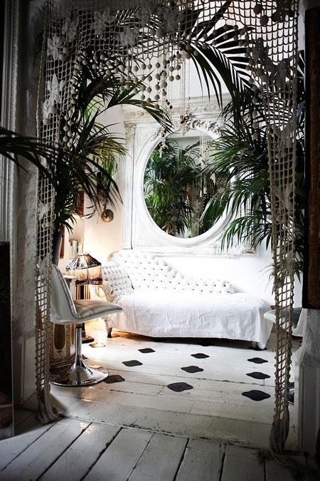 palms