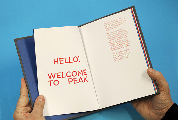 Peak by Proxy #colourful #typography #book #graphic design