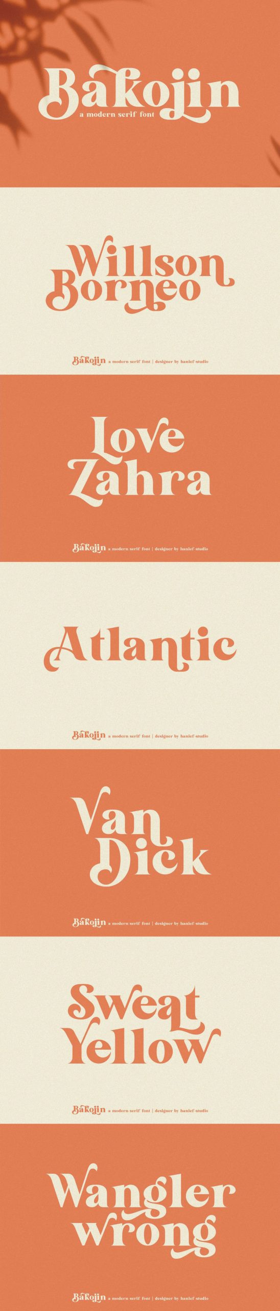 Bakojin//Modern Serif Font