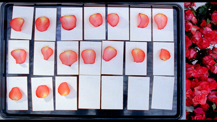 Sarah-meyohas-art-itsnicethat-1