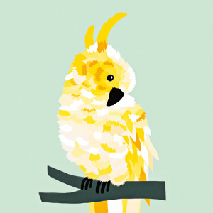 #nordic #design #graphic #illustration #danish #bright #simple #nordicliving #living #interior #kids #room #poster #cockatoo #bird #yellow