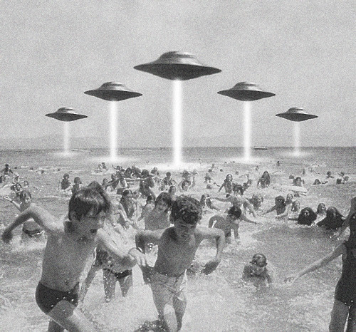 PLUME DE POULE #alien #photo #run