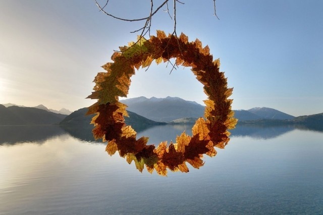 Circular Installations in Nature-8 #nature