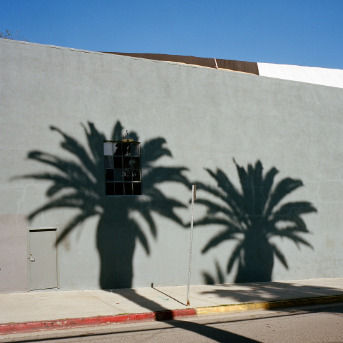 Silver Lake, Los Angeles © Sinziana Velicescu