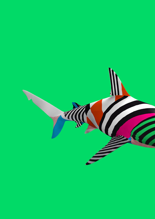 B U I L D #color #pattern #shark