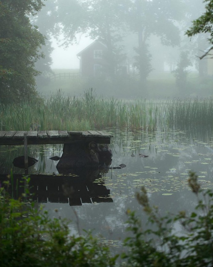 Alluring Nature and Outdoor Landscapes by Linus Englund