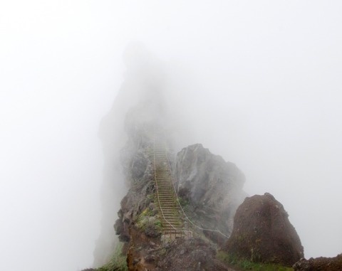 Bridget Collins | PICDIT #photo #photography