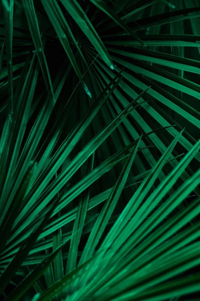 Colorful and Texture Photography by Xuebing DU