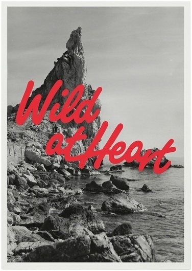 Wild at Heart : Klas Ernflo #type