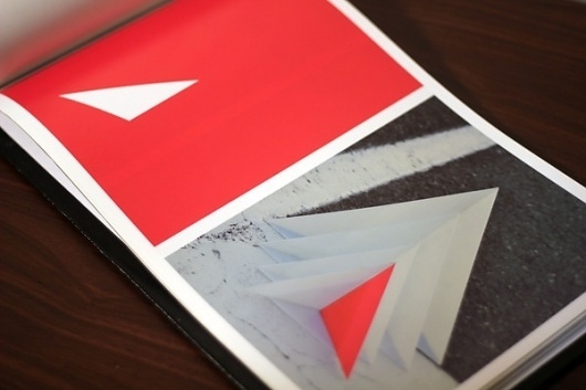 Libro Experimental on the Behance Network #morphology #photography #experimental #book