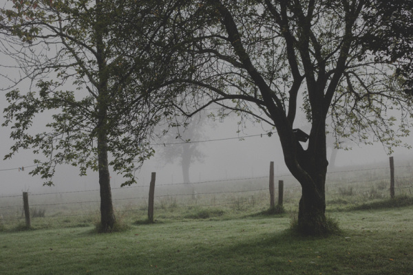 Charity Thomas | PICDIT