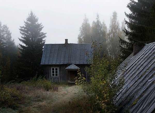 b2ap3_thumbnail_Forest Animals in Abandoned Houses by Kai Fagerstrom 23 600x439.png #photo #abandoned #house