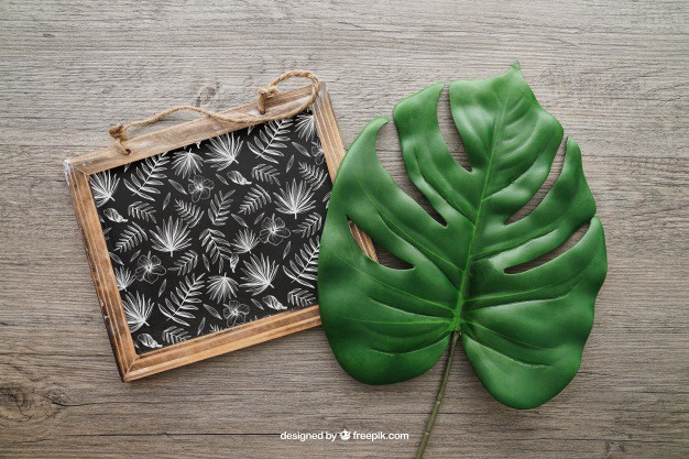 Chalkboard and leaf Free Psd. See more inspiration related to Mockup, Leaf, Chalkboard, Mock up, Up, Objects, Things, Composition and Mock on Freepik.