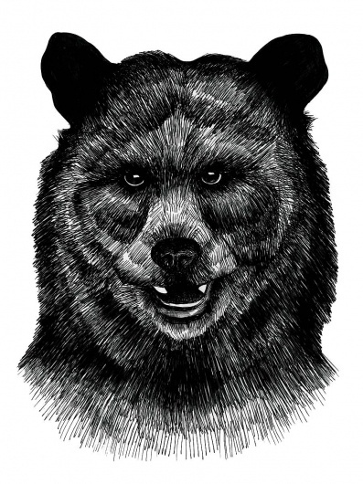 Kristina Krogh Larsen #bear #ink #drawing