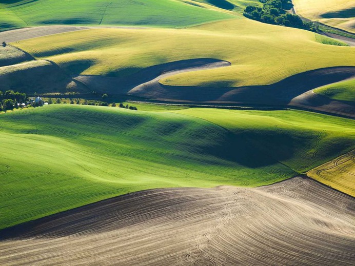 The Palouse From Above: Drone Photography by Mitchell Rouse